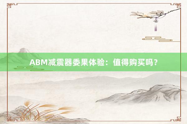 ABM减震器委果体验：值得购买吗？